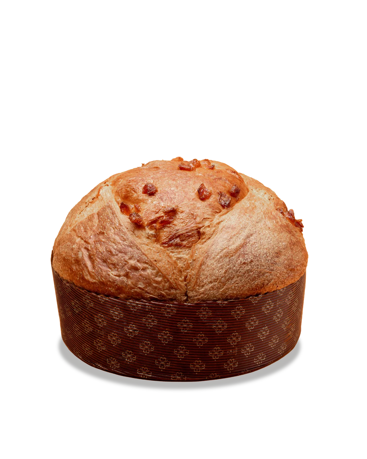 Panettone Albicocca