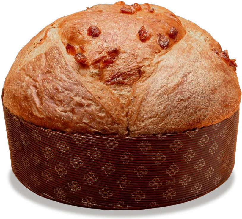 Panettone Albicocca