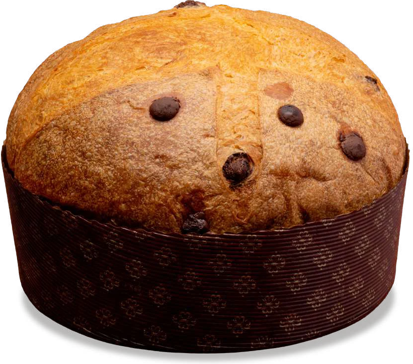 Panettone Cioccolato Fondente