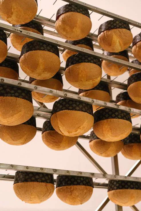 Panettoni Tenerità appesi a testa in giù dopo la cottura